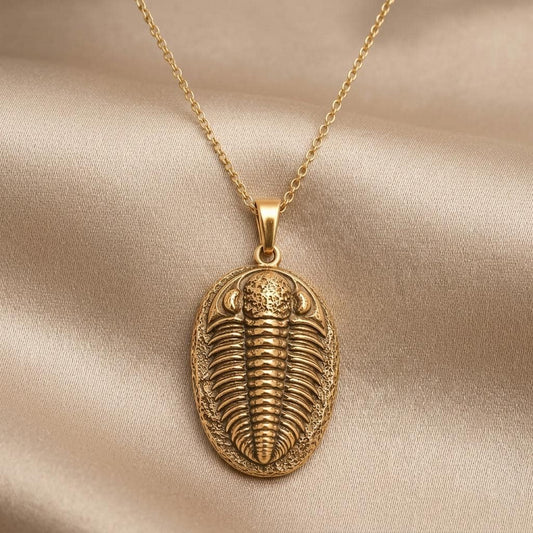 Trilobite Fossil jewelry design featured in the Rimossa meaning guide