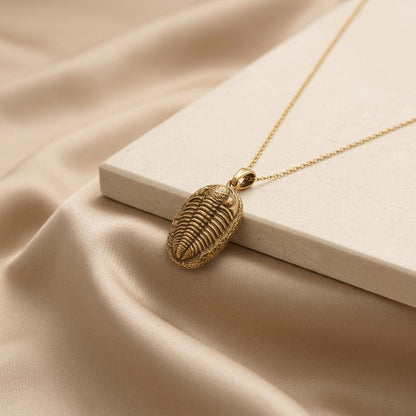 Trilobite Fossil Pendant | 925 Sterling Silver | Ancient Fossil Theme | Unique Science Gift